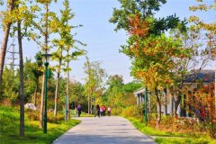 濰坊植物園安裝景區(qū)氣象站做好氣象服務(wù)